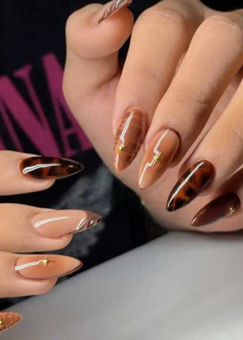 image (31) (1)
